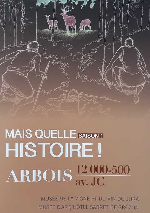 Mais quelle histoire ! Arbois, 12 000 - 500 av. J.-C. (Saison 1), 2021, 44 p.