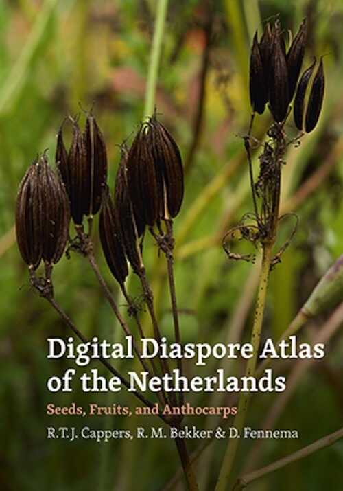 Digital Diaspore Atlas of the Netherlands. Seeds, Fruits, and Anthocarps, 2023, 528 p.