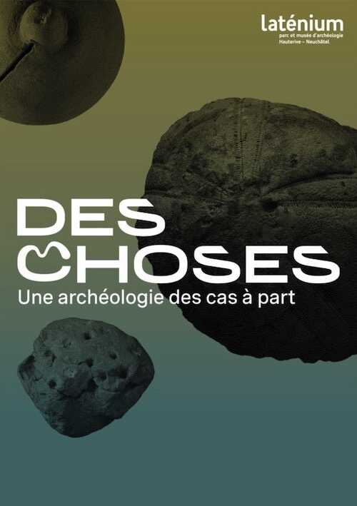 Des choses. Une archéologie des cas à part, 2021, 448 p.