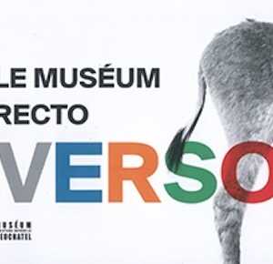 Le museum recto verso, 2020,, 271 p.
