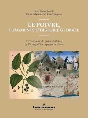 Le poivre, fragments d'histoire globale. Circulations et consommations, de l'Antiquité à l'époque moderne, 2022, 256 p.
