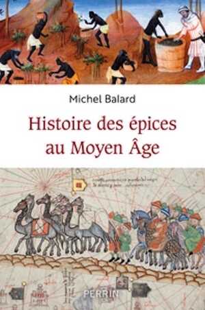 Histoire des épices au Moyen Âge, 2023, 480 p.