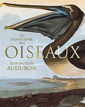 Le grand livre des oiseaux, 2023, 696 p., 554 ill.