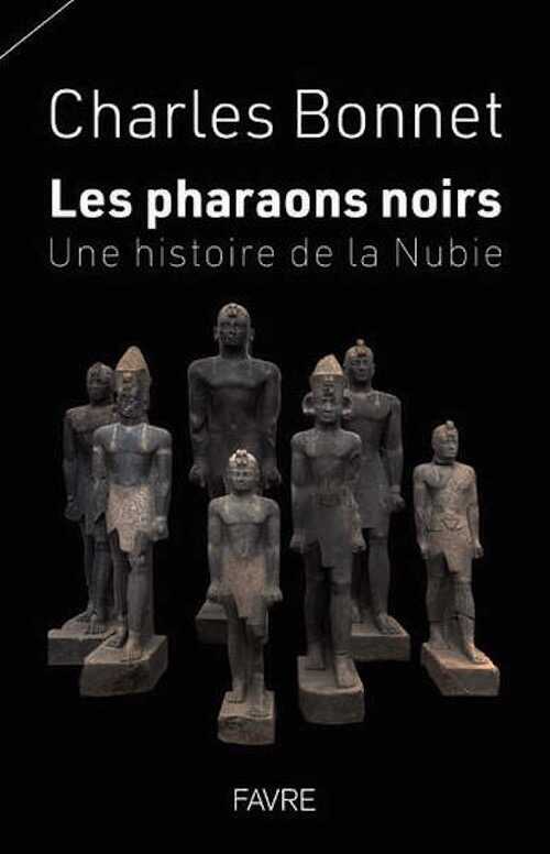 Les pharaons noirs. Une histoire de la Nubie, 2024, 214 p.