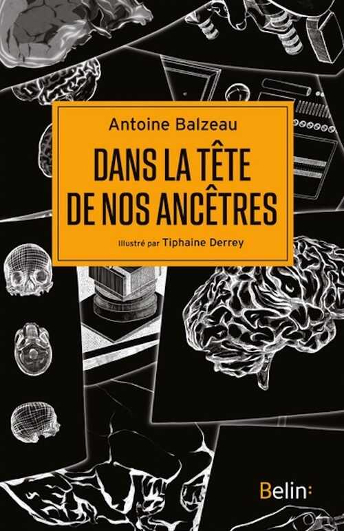 Dans la tête de nos ancêtres, 2025, 254 p.